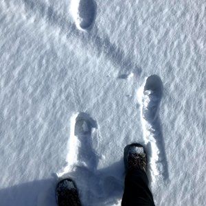 Meet your Posher, Brin